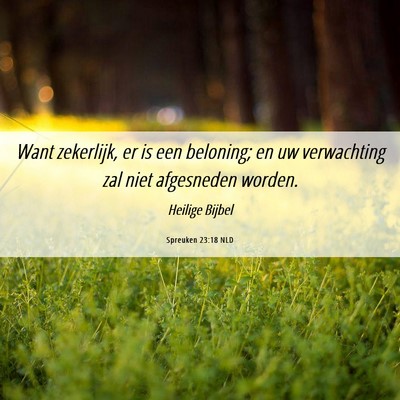 Picture 06 - Spreuken 23:18 NLD - Want zekerlijk, er is een beloning; en uw - Bible Verse Picture