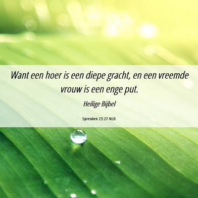 Picture 06 - Spreuken 23:27 NLD - Want een hoer is een diepe gracht, en een vreemde - Bible Verse Picture