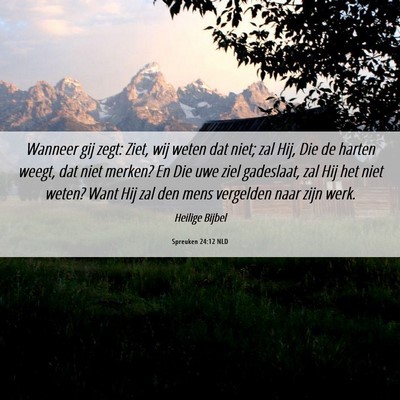 Picture 06 - Spreuken 24:12 NLD - Wanneer gij zegt: Ziet, wij weten dat niet; zal - Bible Verse Picture