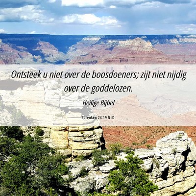 Picture 06 - Spreuken 24:19 NLD - Ontsteek u niet over de boosdoeners; zijt niet - Bible Verse Picture