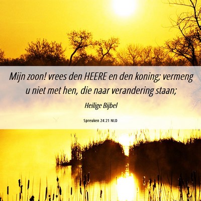 Picture 06 - Spreuken 24:21 NLD - Mijn zoon! vrees den HEERE en den koning; vermeng - Bible Verse Picture