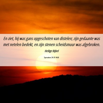 Picture 06 - Spreuken 24:31 NLD - En ziet, hij was gans opgeschoten van distelen; - Bible Verse Picture