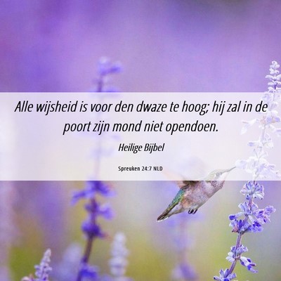 Picture 06 - Spreuken 24:7 NLD - Alle wijsheid is voor den dwaze te hoog; hij zal - Bible Verse Picture