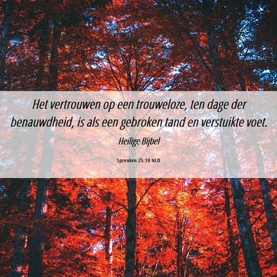 Picture 06 - Spreuken 25:19 NLD - Het vertrouwen op een trouweloze, ten dage der - Bible Verse Picture