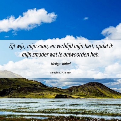 Picture 06 - Spreuken 27:11 NLD - Zijt wijs, mijn zoon, en verblijd mijn hart; - Bible Verse Picture