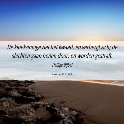 Picture 06 - Spreuken 27:12 NLD - De kloekzinnige ziet het kwaad, en verbergt zich; - Bible Verse Picture