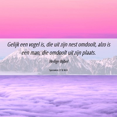 Picture 06 - Spreuken 27:8 NLD - Gelijk een vogel is, die uit zijn nest omdoolt, - Bible Verse Picture