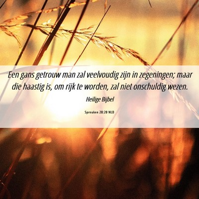 Picture 06 - Spreuken 28:20 NLD - Een gans getrouw man zal veelvoudig zijn in - Bible Verse Picture