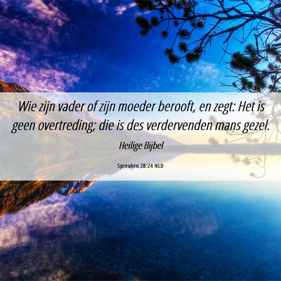 Picture 06 - Spreuken 28:24 NLD - Wie zijn vader of zijn moeder berooft, en zegt: - Bible Verse Picture