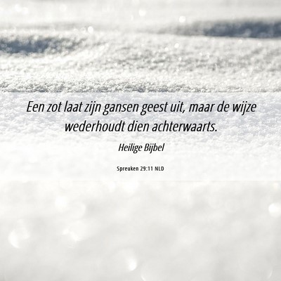 Picture 06 - Spreuken 29:11 NLD - Een zot laat zijn gansen geest uit, maar de wijze - Bible Verse Picture