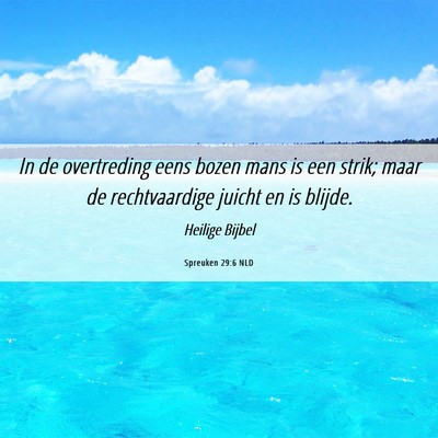 Picture 06 - Spreuken 29:6 NLD - In de overtreding eens bozen mans is een strik; - Bible Verse Picture
