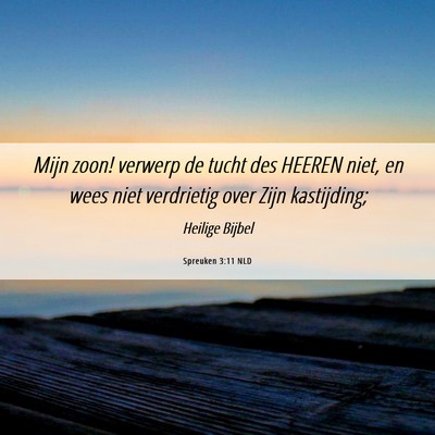 Picture 06 - Spreuken 3:11 NLD - Mijn zoon! verwerp de tucht des HEEREN niet, en - Bible Verse Picture