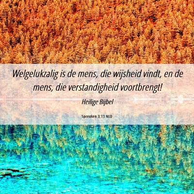 Picture 06 - Spreuken 3:13 NLD - Welgelukzalig is de mens, die wijsheid vindt, en - Bible Verse Picture