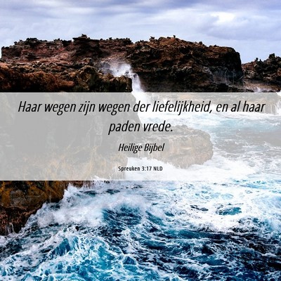 Picture 06 - Spreuken 3:17 NLD - Haar wegen zijn wegen der liefelijkheid, en al - Bible Verse Picture