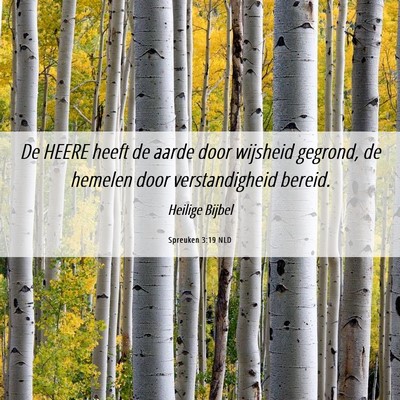 Picture 06 - Spreuken 3:19 NLD - De HEERE heeft de aarde door wijsheid gegrond, de - Bible Verse Picture