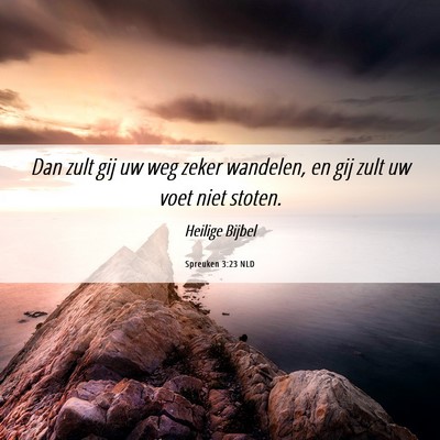 Picture 06 - Spreuken 3:23 NLD - Dan zult gij uw weg zeker wandelen, en gij zult - Bible Verse Picture