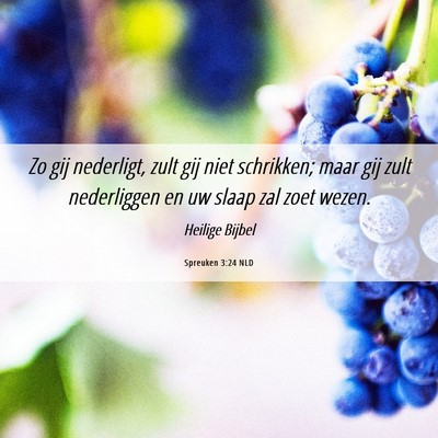 Picture 06 - Spreuken 3:24 NLD - Zo gij nederligt, zult gij niet schrikken; maar - Bible Verse Picture