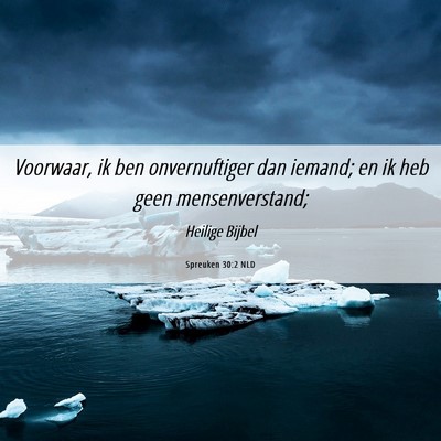 Picture 06 - Spreuken 30:2 NLD - Voorwaar, ik ben onvernuftiger dan iemand; en ik - Bible Verse Picture