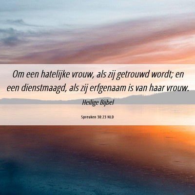Picture 06 - Spreuken 30:23 NLD - Om een hatelijke vrouw, als zij getrouwd wordt; - Bible Verse Picture