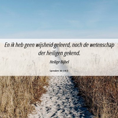 Picture 06 - Spreuken 30:3 NLD - En ik heb geen wijsheid geleerd, noch de - Bible Verse Picture