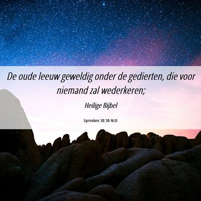 Picture 06 - Spreuken 30:30 NLD - De oude leeuw geweldig onder de gedierten, die - Bible Verse Picture