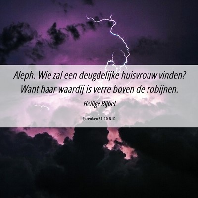 Picture 06 - Spreuken 31:10 NLD - Aleph. Wie zal een deugdelijke huisvrouw vinden? - Bible Verse Picture