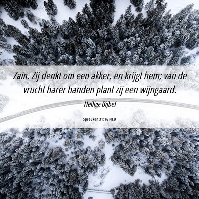 Picture 06 - Spreuken 31:16 NLD - Zain. Zij denkt om een akker, en krijgt hem; van - Bible Verse Picture
