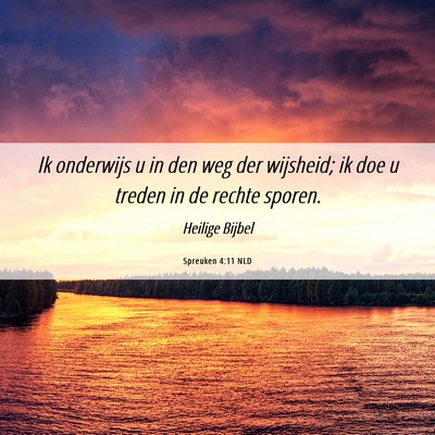 Picture 06 - Spreuken 4:11 NLD - Ik onderwijs u in den weg der wijsheid; ik doe u - Bible Verse Picture
