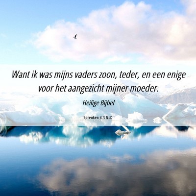 Picture 06 - Spreuken 4:3 NLD - Want ik was mijns vaders zoon, teder, en een - Bible Verse Picture