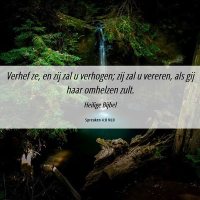 Picture 06 - Spreuken 4:8 NLD - Verhef ze, en zij zal u verhogen; zij zal u - Bible Verse Picture