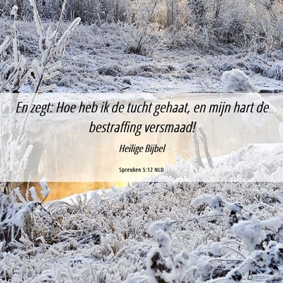 Picture 06 - Spreuken 5:12 NLD - En zegt: Hoe heb ik de tucht gehaat, en mijn hart - Bible Verse Picture
