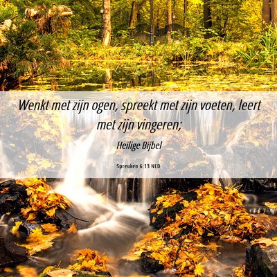 Picture 06 - Spreuken 6:13 NLD - Wenkt met zijn ogen, spreekt met zijn voeten, - Bible Verse Picture
