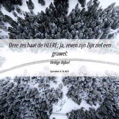 Picture 06 - Spreuken 6:16 NLD - Deze zes haat de HEERE; ja, zeven zijn Zijn ziel - Bible Verse Picture