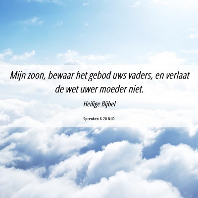 Picture 06 - Spreuken 6:20 NLD - Mijn zoon, bewaar het gebod uws vaders, en - Bible Verse Picture
