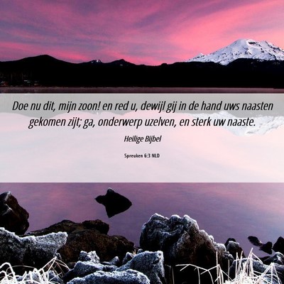Picture 06 - Spreuken 6:3 NLD - Doe nu dit, mijn zoon! en red u, dewijl gij in de - Bible Verse Picture