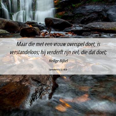 Picture 06 - Spreuken 6:32 NLD - Maar die met een vrouw overspel doet, is - Bible Verse Picture