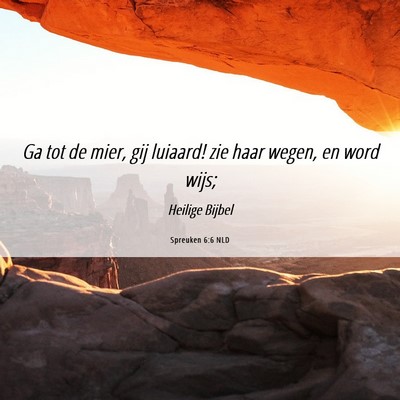 Picture 06 - Spreuken 6:6 NLD - Ga tot de mier, gij luiaard! zie haar wegen, en - Bible Verse Picture