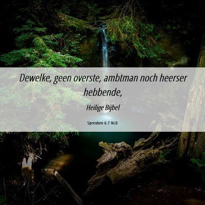 Picture 06 - Spreuken 6:7 NLD - Dewelke, geen overste, ambtman noch heerser - Bible Verse Picture