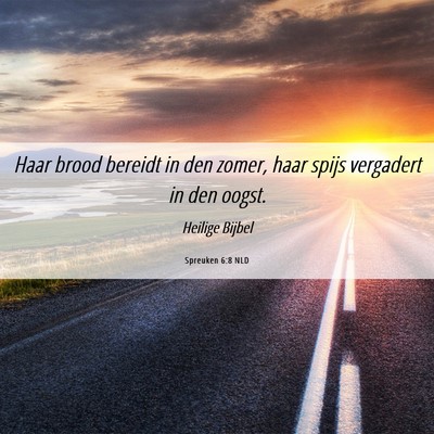 Picture 06 - Spreuken 6:8 NLD - Haar brood bereidt in den zomer, haar spijs - Bible Verse Picture