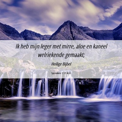 Picture 06 - Spreuken 7:17 NLD - Ik heb mijn leger met mirre, aloe en kaneel - Bible Verse Picture