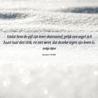 Picture 06 - Spreuken 7:23 NLD - Totdat hem de pijl zijn lever doorsneed; gelijk - Bible Verse Picture