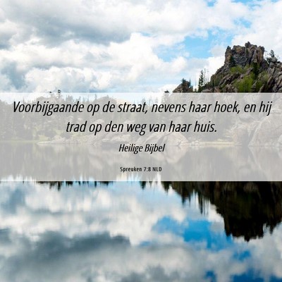 Picture 06 - Spreuken 7:8 NLD - Voorbijgaande op de straat, nevens haar hoek, en - Bible Verse Picture