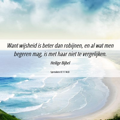 Picture 06 - Spreuken 8:11 NLD - Want wijsheid is beter dan robijnen, en al wat - Bible Verse Picture