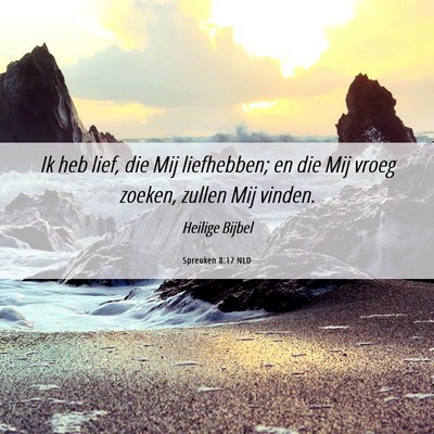 Picture 06 - Spreuken 8:17 NLD - Ik heb lief, die Mij liefhebben; en die Mij vroeg - Bible Verse Picture