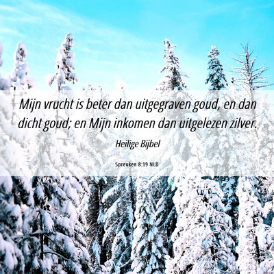 Picture 06 - Spreuken 8:19 NLD - Mijn vrucht is beter dan uitgegraven goud, en dan - Bible Verse Picture
