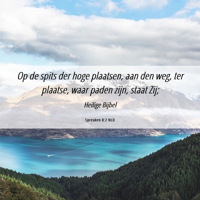 Picture 06 - Spreuken 8:2 NLD - Op de spits der hoge plaatsen, aan den weg, ter - Bible Verse Picture