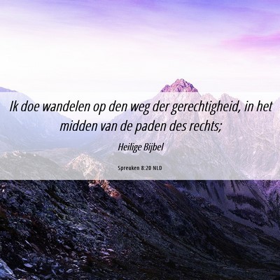 Picture 06 - Spreuken 8:20 NLD - Ik doe wandelen op den weg der gerechtigheid, in - Bible Verse Picture