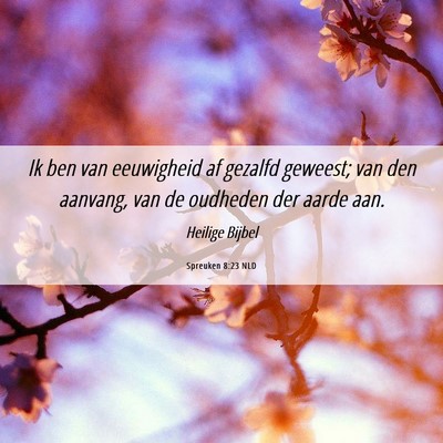 Picture 06 - Spreuken 8:23 NLD - Ik ben van eeuwigheid af gezalfd geweest; van den - Bible Verse Picture