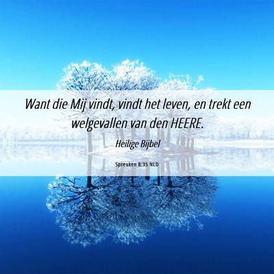 Picture 06 - Spreuken 8:35 NLD - Want die Mij vindt, vindt het leven, en trekt een - Bible Verse Picture