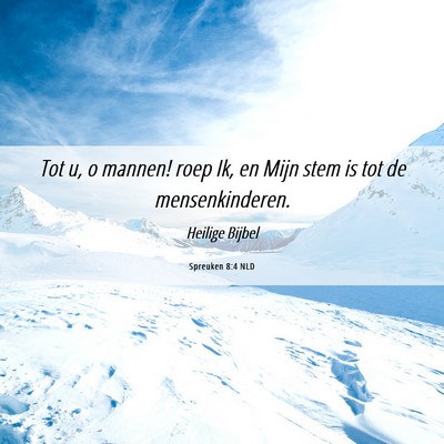 Picture 06 - Spreuken 8:4 NLD - Tot u, o mannen! roep Ik, en Mijn stem is tot de - Bible Verse Picture